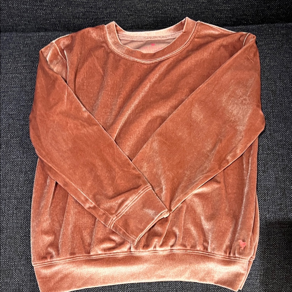 Pink Chicken Velvet Top in Dusty Rose